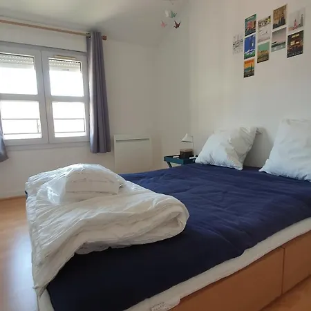 #j1 Escale Grenobloise Splendid Building Pedestrian Center Appartement Grenoble