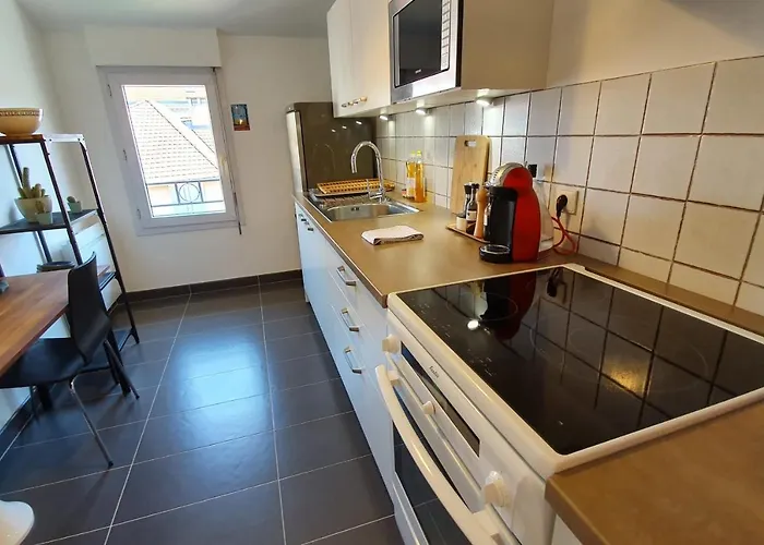 Apartment #j1 Escale Grenobloise Splendid Building Pedestrian Center *