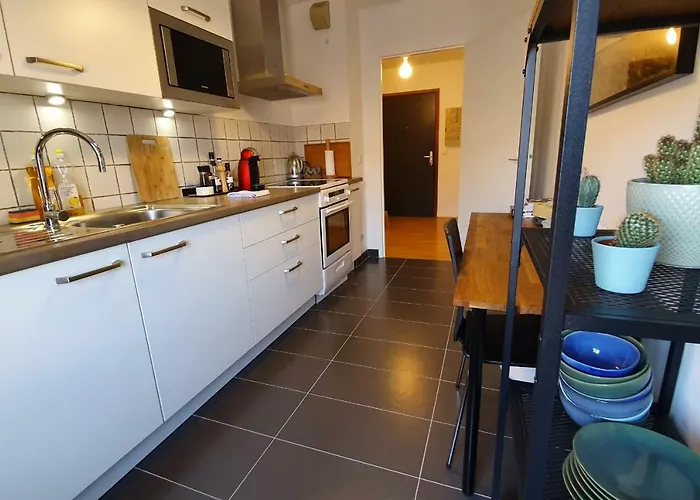 Apartment #j1 Escale Grenobloise Splendid Building Pedestrian Center *